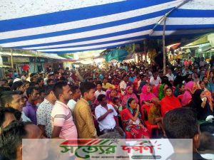 শেখ হাসিনার নেতৃত্বে দেশ এখন উন্নয়নের মহাসড়কে-এমপি শামীমা আক্তার খানম