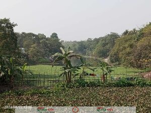 দৌলতপুর আল্লারদর্গা বাজারে পাশে হিসনা নদী দূষণ মুক্ত ও সংস্কার প্রসঙ্গে শীর্ষ আলোচনা