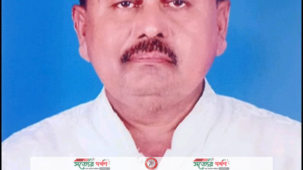 আওয়ামী লীগ নেতা পান্না বিশ্বাস জেলা পরিষদের শূন্য হওয়া সদস্য পদে নির্বাচন করবেন