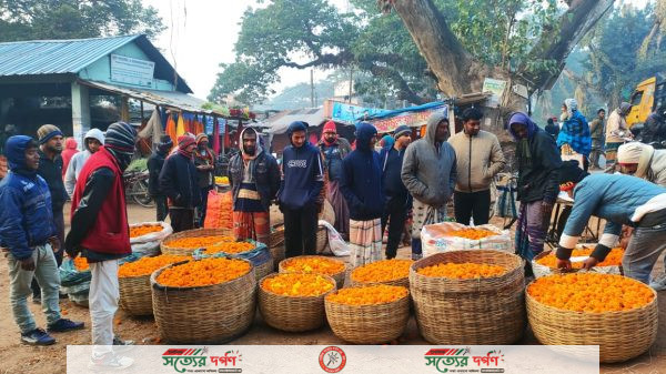 ঝিকরগাছার গদখালী ফুলের বাজারে বেচাকেনা জমজমাট