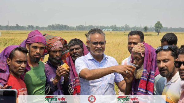 নওগাঁয় খাবার স্যালাইন, গামছা ও খাদ্য সামগ্রী নিয়ে কৃষকদের পাশে বিএনপি নেতা পলাশ