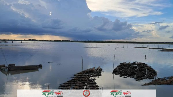 কুষ্টিয়ার দৌলতপুরে বন্যার তাণ্ডব: ক্ষতিগ্রস্ত ৫৫ গ্রাম