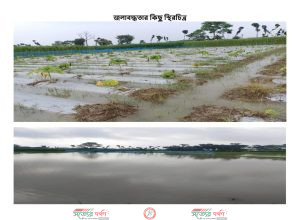 ঝিকরগাছায় অতিবৃষ্টিতে পানি সারা অঞ্চলের বিস্তীর্ণ এলাকা প্লাবিত শ্বেতগঙ্গা-কপোতাক্ষ সংযোগ খাল পুঃসংস্কারের দাবি এলাকাবাসির