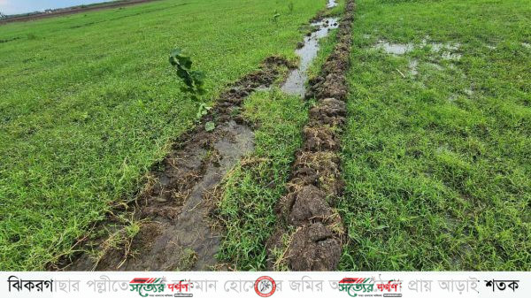 ঝিকরগাছায় জমির আইল কেটে বৃদ্ধের জমি দখল ও মারপিটের অভিযোগ