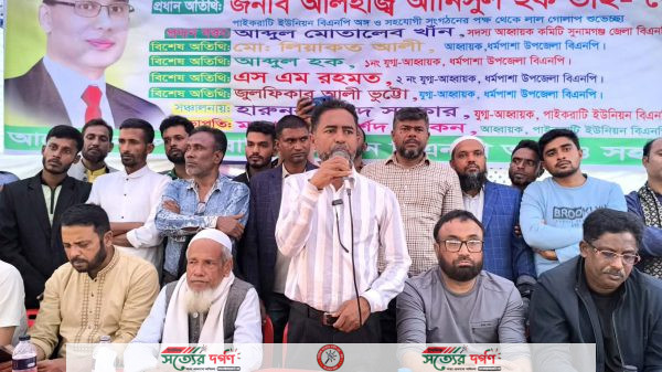 দেশকে এগিয়ে নিতে ধানের শীষের পক্ষে ঐক্যবদ্ধভাবে কাজ করতে হবে
