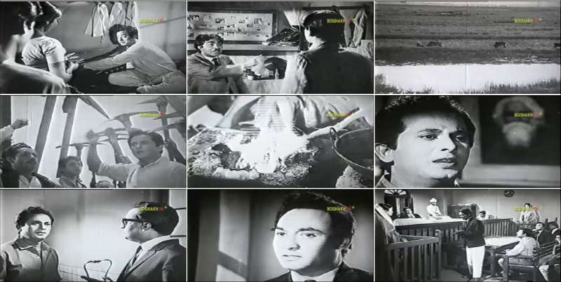 রাজনৈতিক রূপকের অনন্য শিল্পভাষা: ‘জীবন থেকে নেয়া’