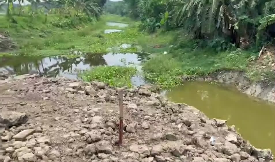 ভেড়ামারার আলোচিত জিকে রেস্ট হাউজ সংলগ্ন কোল নামে খ্যাত জলাশয়ের ইজারা বাতিলের দাবি
