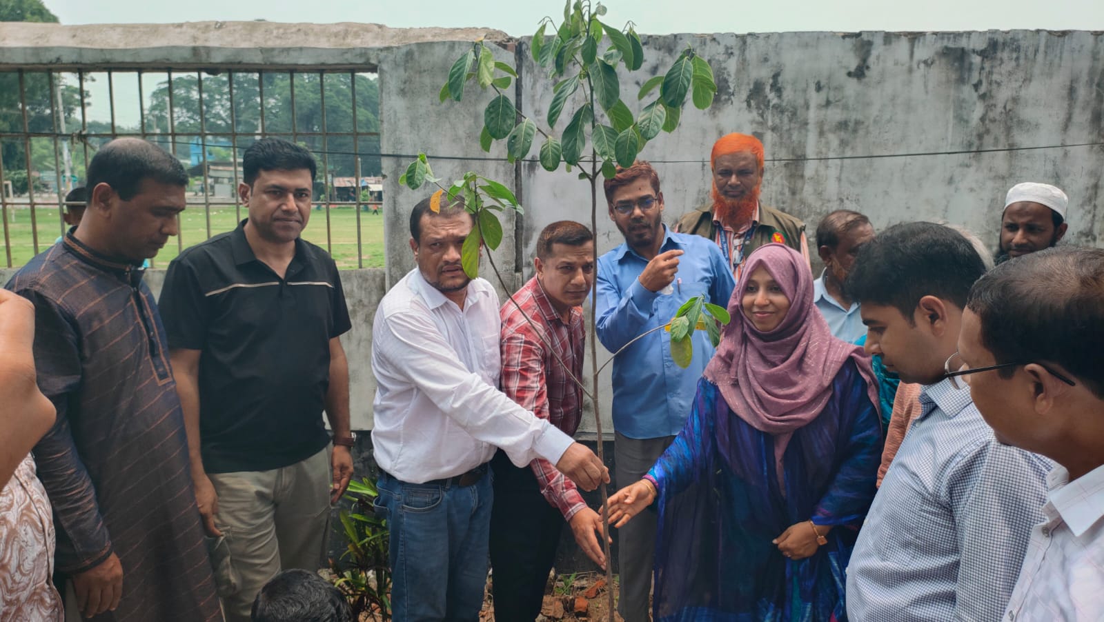 ওয়ান চাইল্ড, ওয়ান ট্রি বাস্তবায়নে ঝিকরগাছা বি.এম হাইস্কুলে বৃক্ষরোপণ কর্মসূচি পালিত